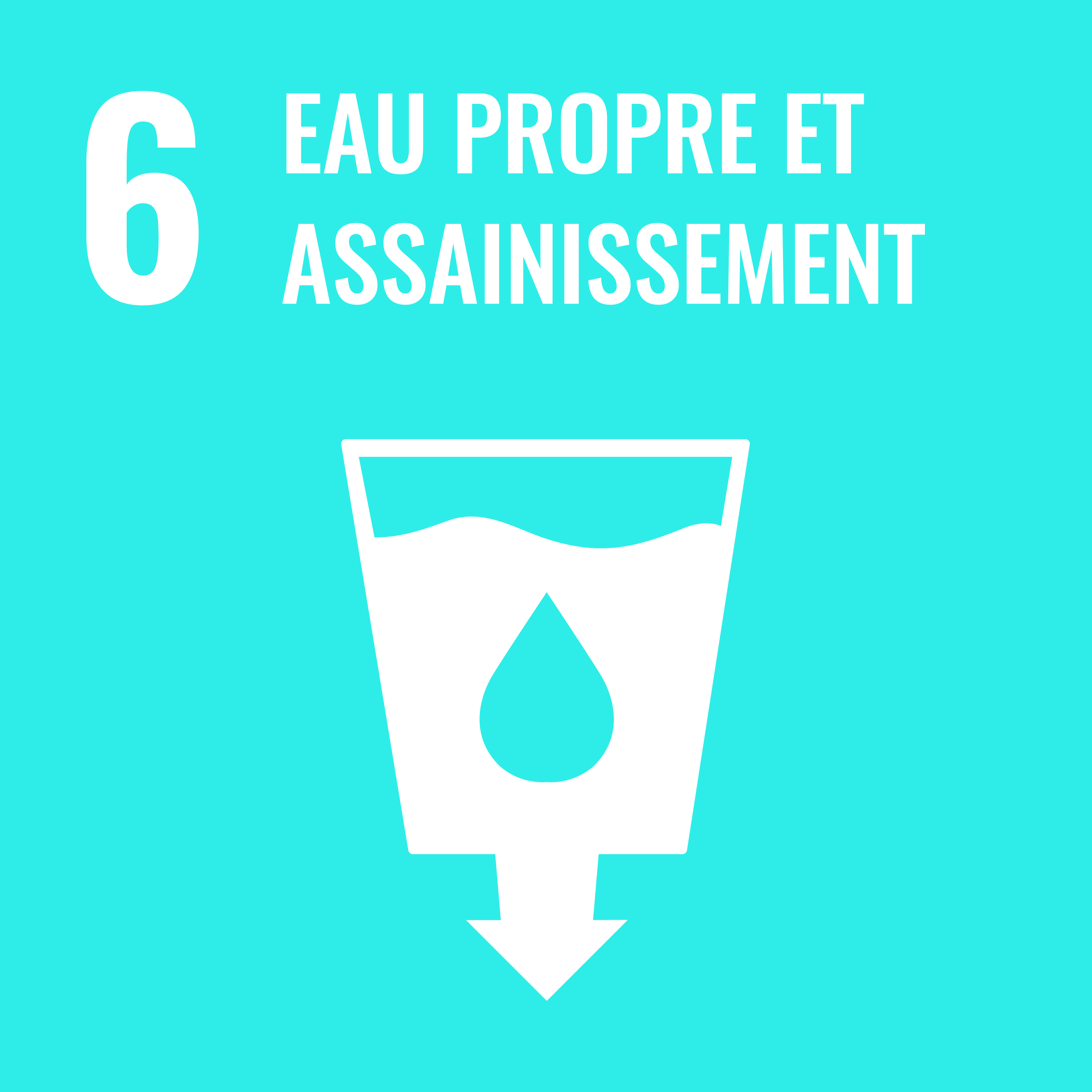 Global compact 4